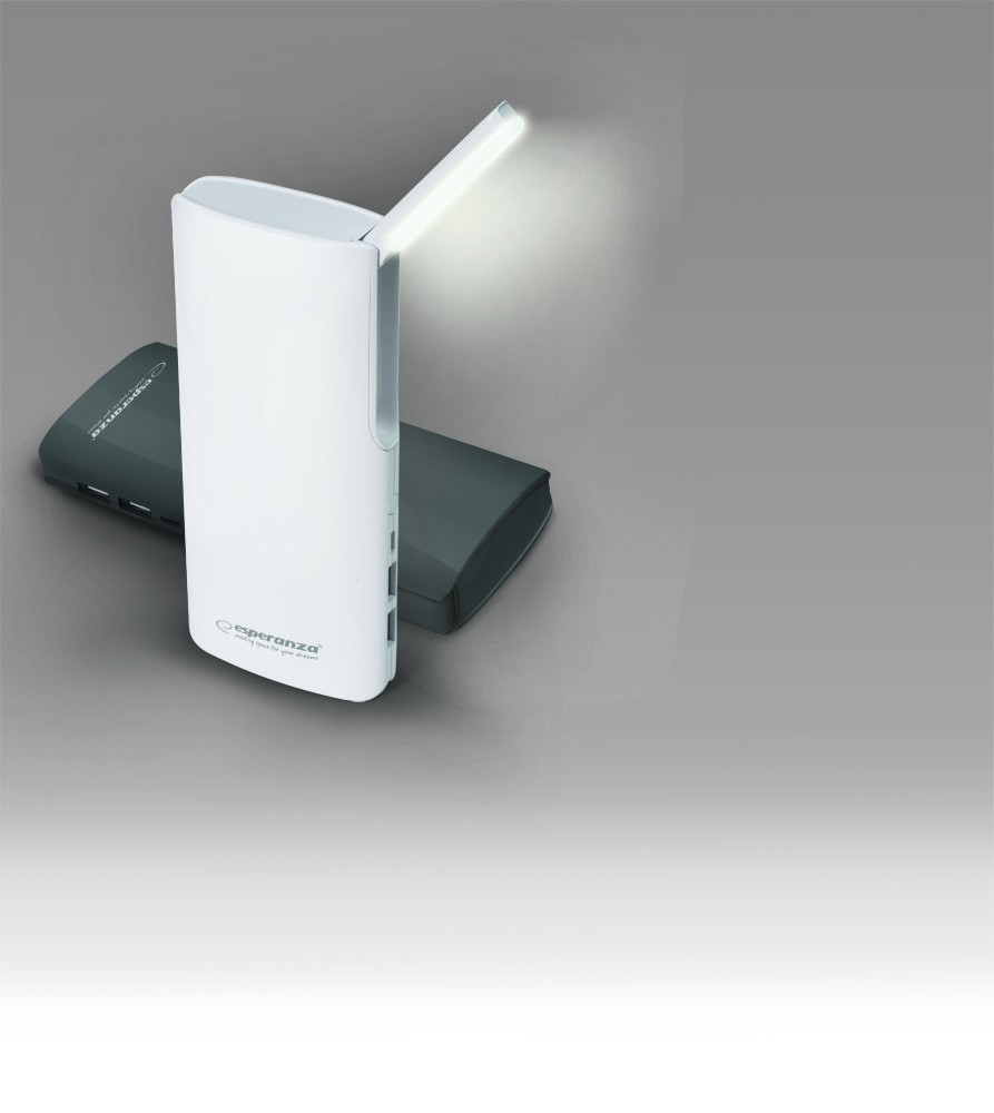 POWER BANK 11000MAH RAY CZARNY